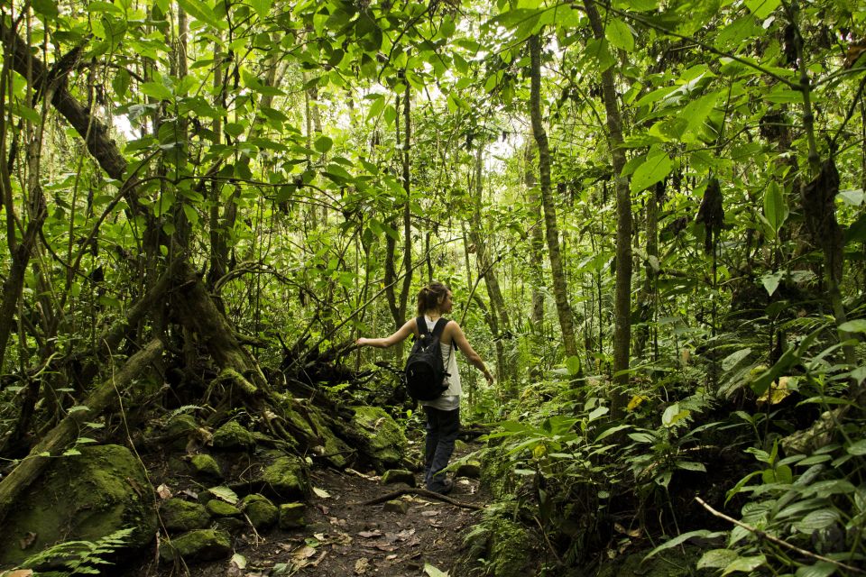 Chicaque Full-Day Trip From Bogotá - Booking Options