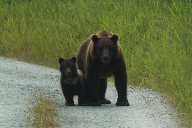 Chichagof Island Tour: Brown Bear Search - Location Highlights