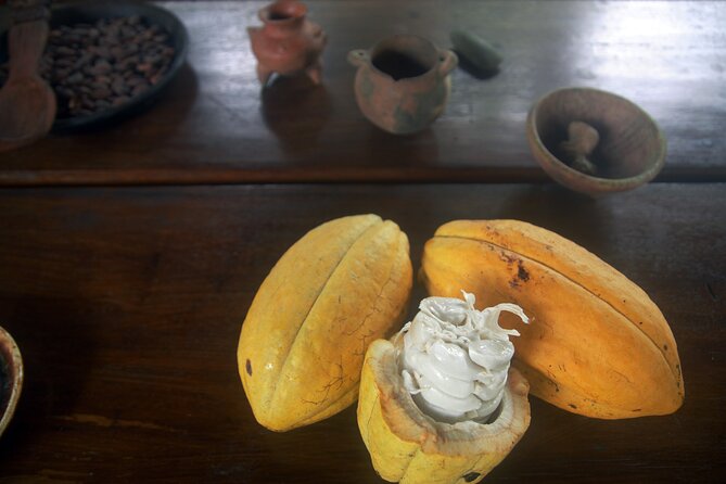 Chocolate and Farm Tour With Local Tico Family - Costa Rican Cacao Insights