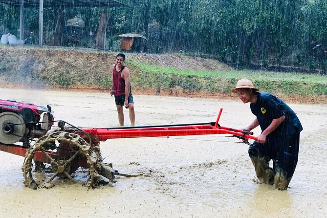 Choeng Thale Rice Fields, Jungle Trekking, and Tubing  - Phuket - Logistics and Pickup Details