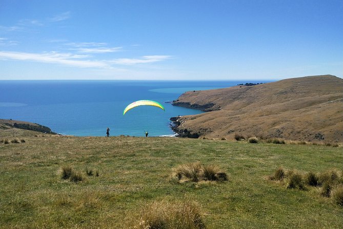 Christchurch Coastal Hiking Tour - Pricing and Inclusions