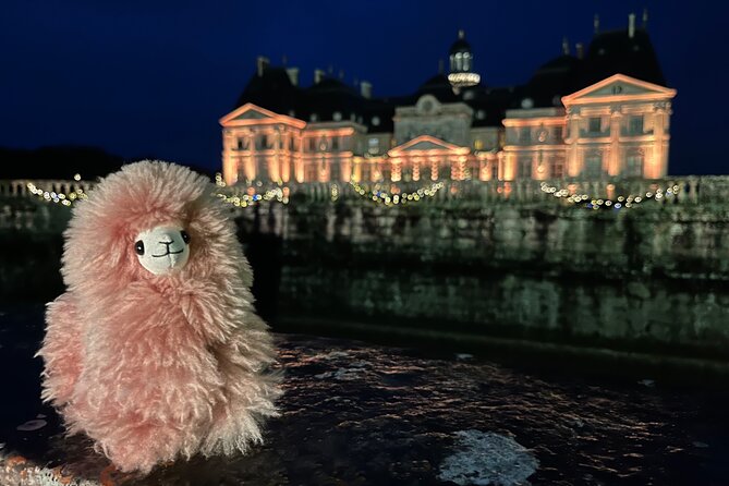 Christmas Fairytale: Vaux-Le-Vicomte Chateau Private Guided Tour - Highlights of the Private Tour