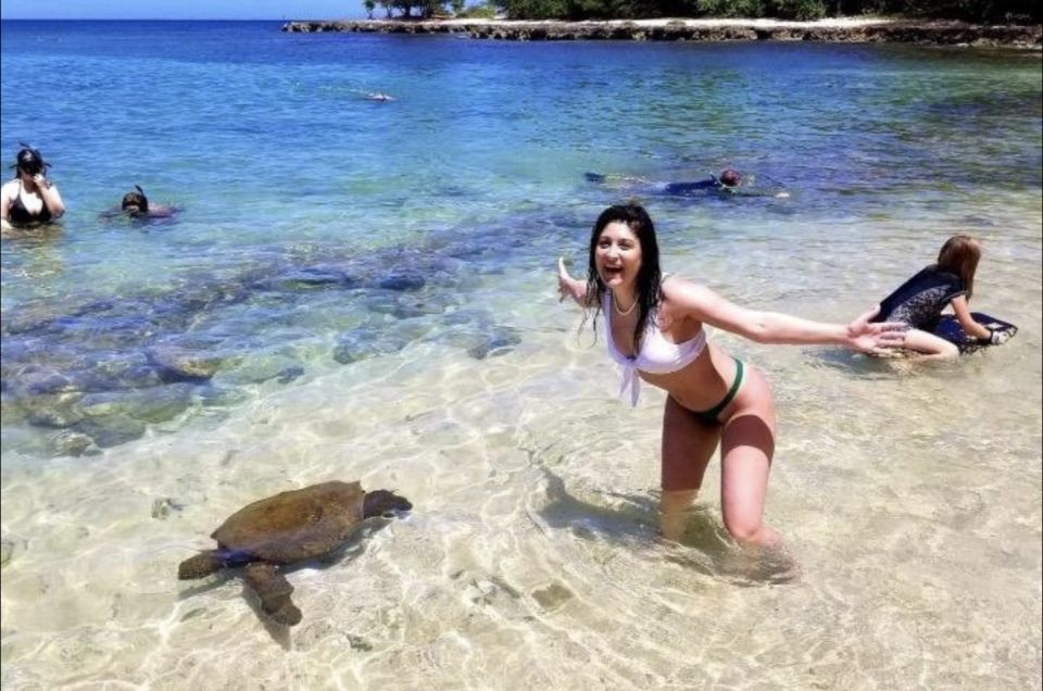 Circle Island: Swim With Turtles And Explore Paradise Oahu - Explore Halona Blowhole