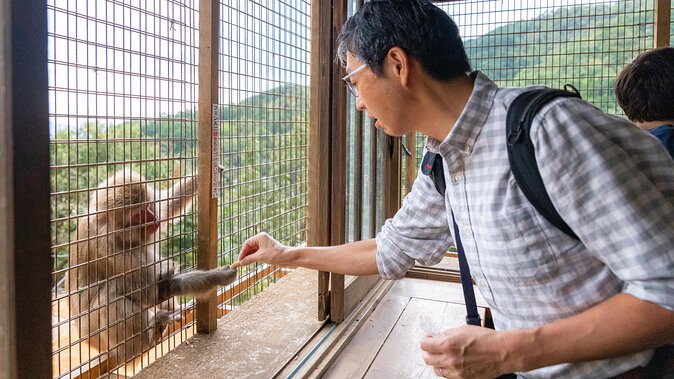 City Escape: Arashiyama Park Private Day Trip - Itinerary Highlights