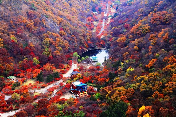 Classic Naejangsan National Park One Day Tour (Autumn Limited） - Travel Tips