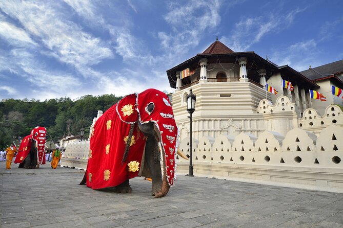 Classical Sri Lanka (7 Day Guided Round Tour) - Inclusions and Logistics