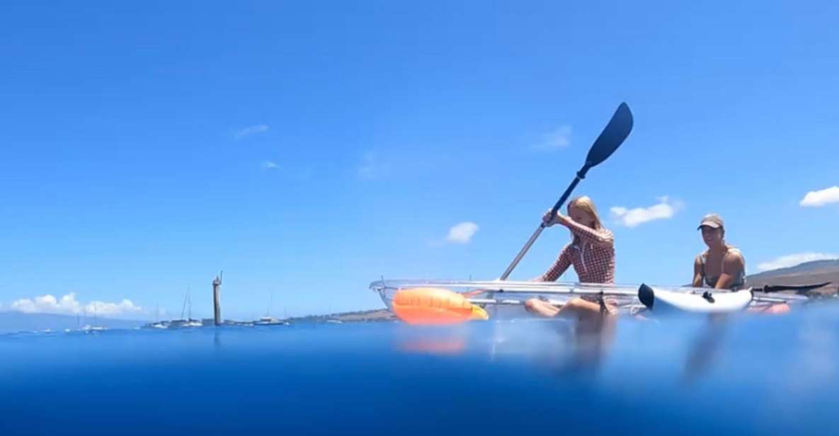 Clear Bottom Glassy Kayak Rental Safe and Stable Kayaks - Experience Highlights