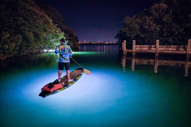 Clear Kayak LED Night Glass Bottom Tour - Sarasota - Inclusions and Equipment