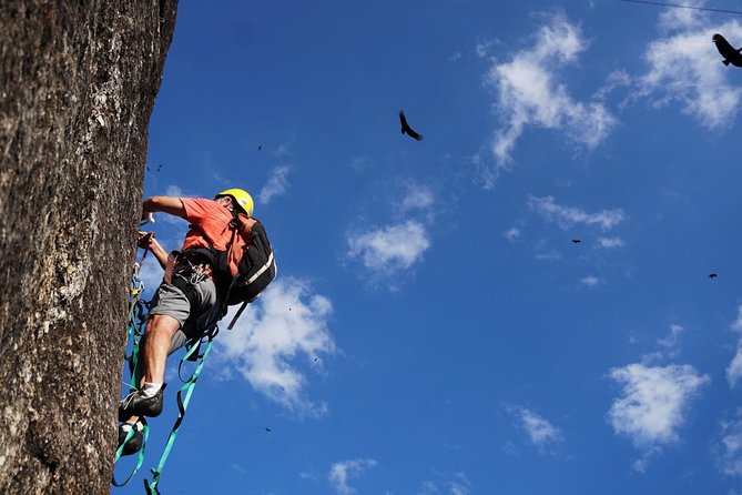 Climb Rio: Rock Climbing Tailored for All Levels - Pricing and Booking Information