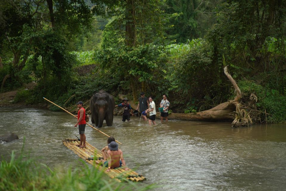 CM: Private Elephant Care, Rafting, Long Neck Karen&Ziplines - Support and Conservation Efforts