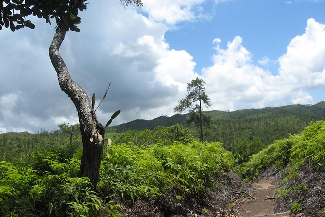 Cockscomb Basin Wildlife Sanctuary and Jaguar Preserve - Cancellation Policy