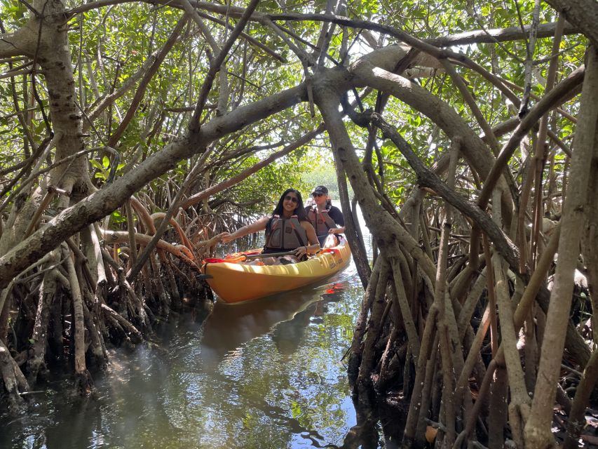 Cocoa Beach: Sunset Guided Kayak Tour - Full Description