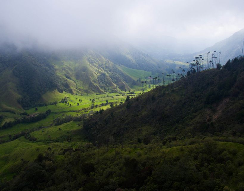 Cocora Valley and Salento Guided Hiking Tour - Experience Highlights