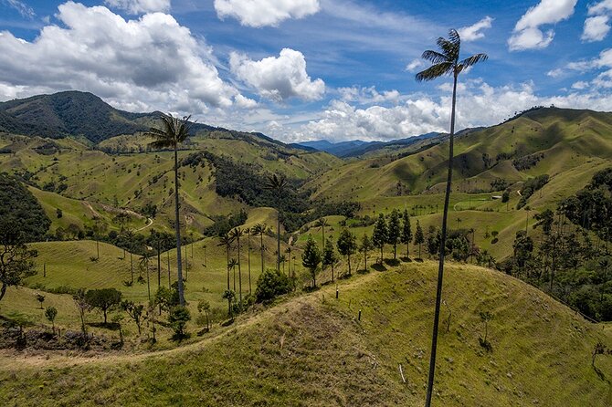 Cocora Valley and Salento Hike Tour - Tour Overview Highlights