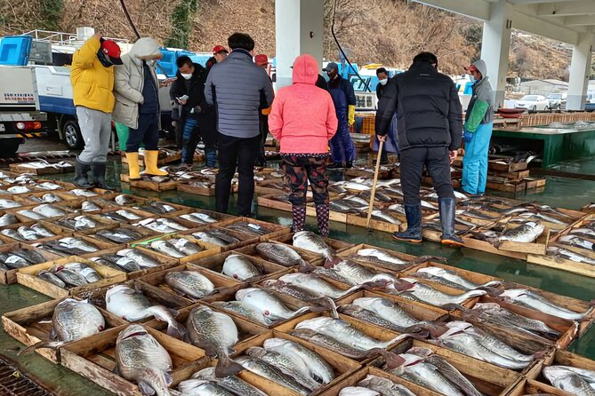 Cod Auction and Clam Auction in Winter - Duration and Timing