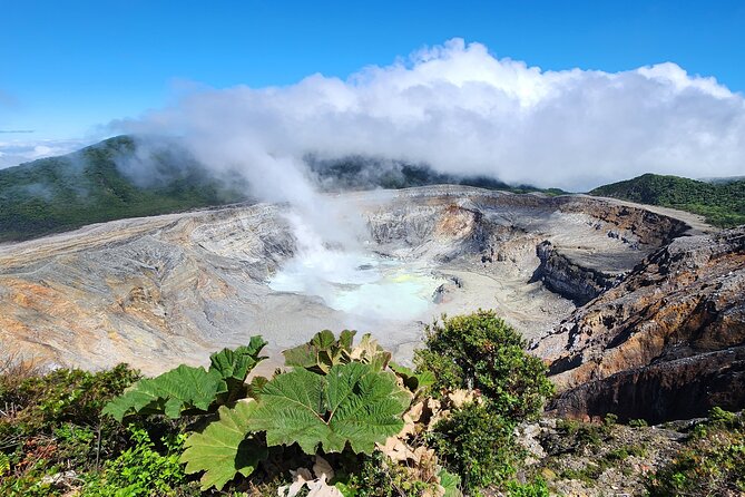 Coffee Experience and Poas Volcano Half Day Trip From San Jose - Cancellation Policy