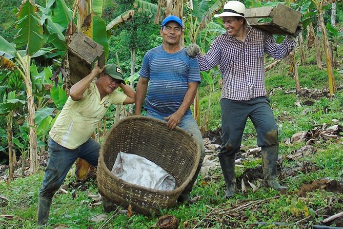 Coffee Plantation Small-Group Tour  - Pereira - Inclusions and Amenities