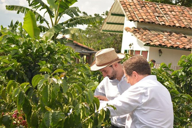 Coffee Tour at the Finca Del Café - Accessibility and Logistics