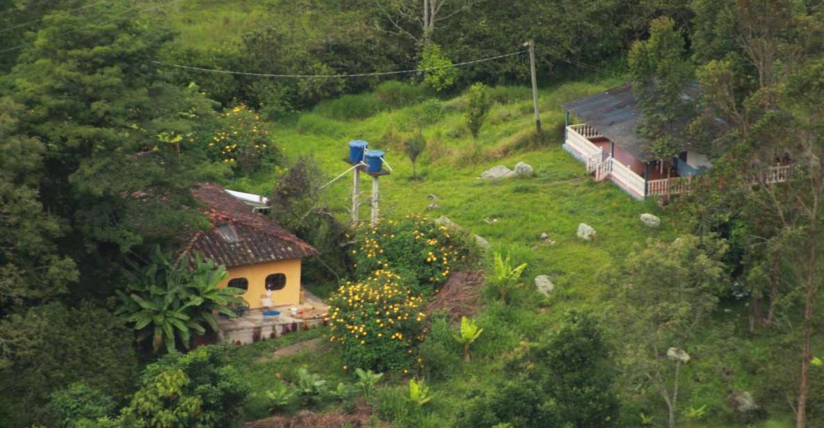 Colombia: Being a Collector of Wild Edible Plants - Wild Edible Plants Collection Ritual