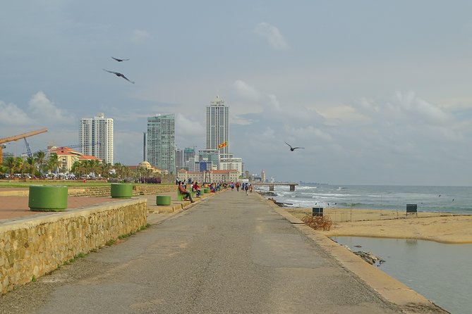 Colombo Private Small Group Guided Shore Excursion and Sightseeing Tours - Itinerary Overview