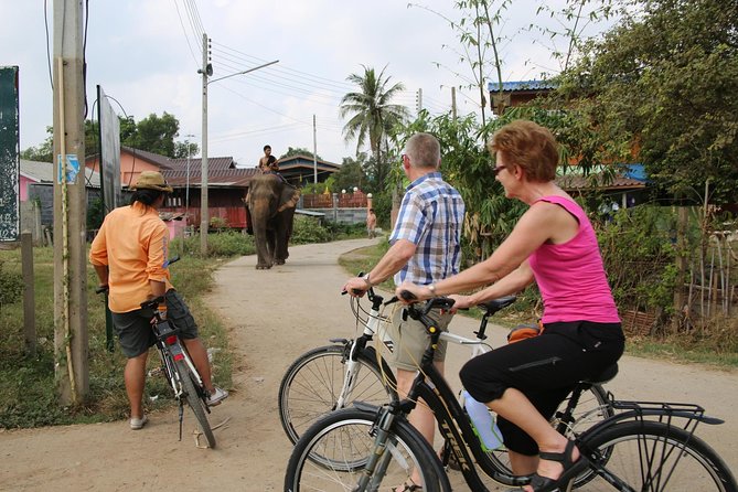 Colors of Ayutthaya Full-Day Bike Tour - Itinerary Details