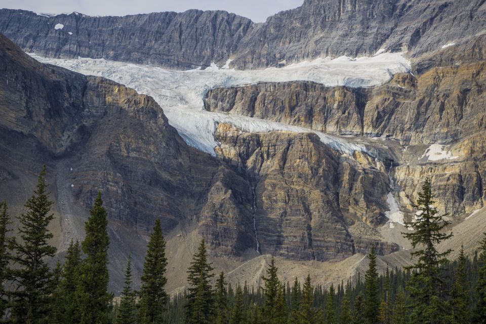 Columbia Icefield Adventure 1-Day Tour From Calgary or Banff - Tour Price and Gift Option