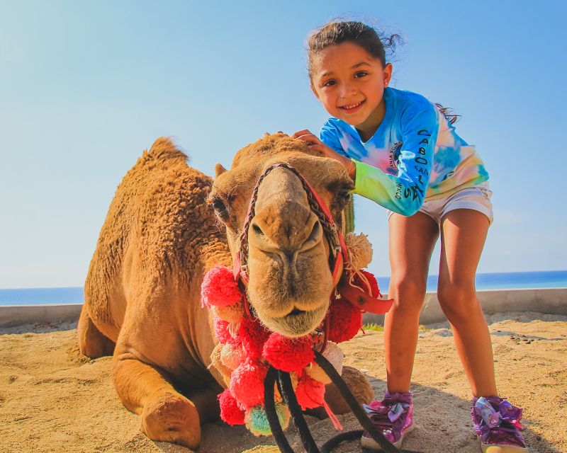 Combo Tour: Camel Ride Snorkeling Adventure - Tour Inclusions