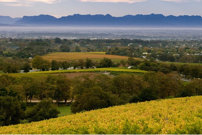 Constantia Hidden Gem Cycle Half Day - Private Tour - Cancellation Policy