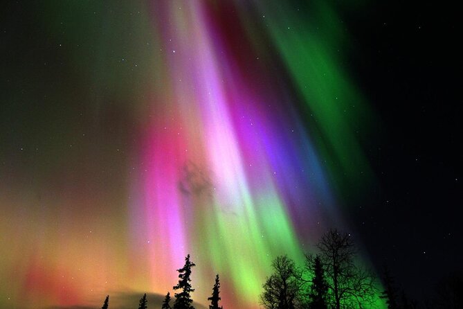 Cool Igloo Experience - Northern Lights Viewing