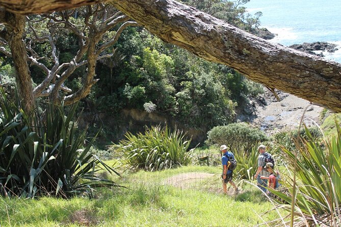 Coromandel Coastal Walkway: Full-Day Hike and Bike Tour - Reviews and Ratings