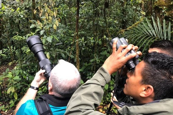 Costa Rica Full-Day Private Nature Tour  - Puntarenas - Logistics Details