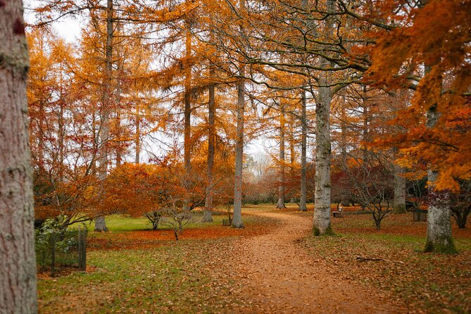 Cotswolds Small-Group Tour: Antiques and Arboretum With Lunch  - Bath - Meeting and Pickup Details