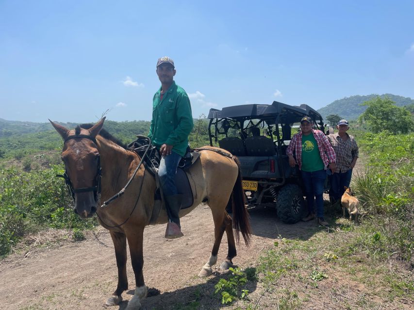 Countryside Horseback Riding Eco-Adventure Near Cartagena - Activity Duration and Schedule