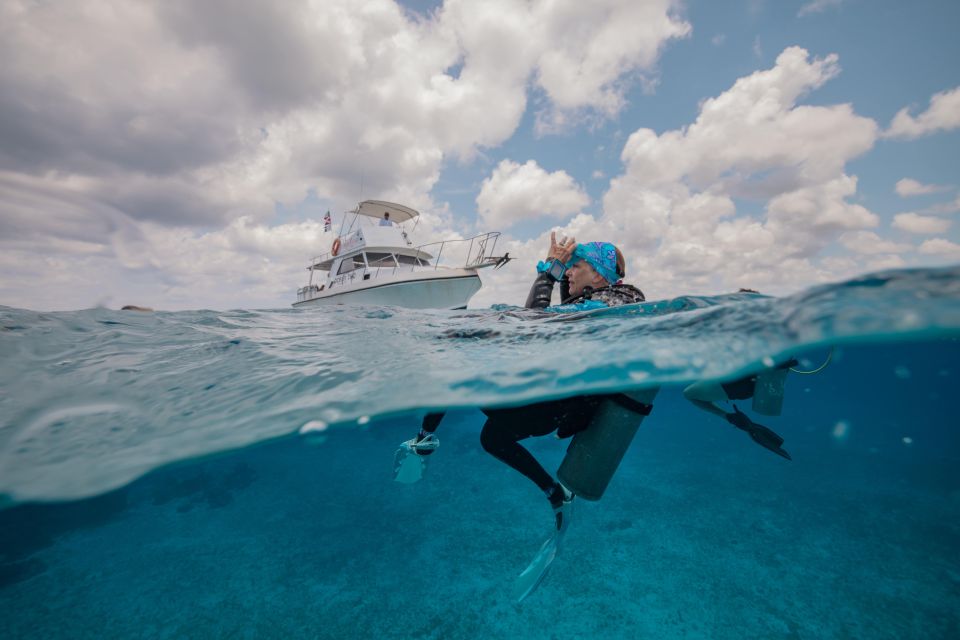 Cozumel: 2 Tanks Certified Scuba Diving - Activity Duration and Itineraries