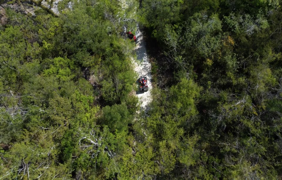 Cozumel: Atv Jungle Ride - Learn the Basics Before Riding