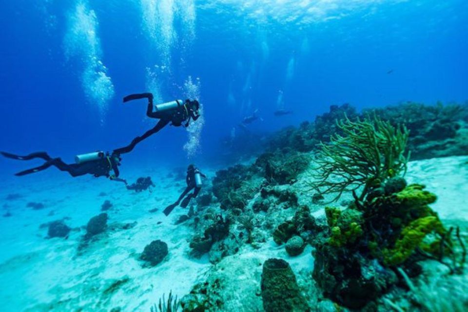 Cozumel: Fun Dive Adventure - Experience Details