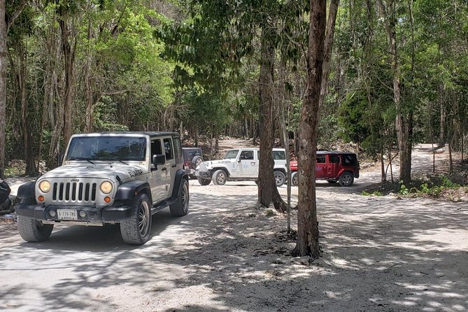 Cozumel Jeep Adventure to Jade Caverns With Lunch and Snorkel - Lunch Options and Beach Visits