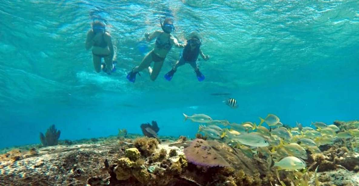 Cozumel: Private Charter Boat and Snorkel Day Trip - Experience Highlights