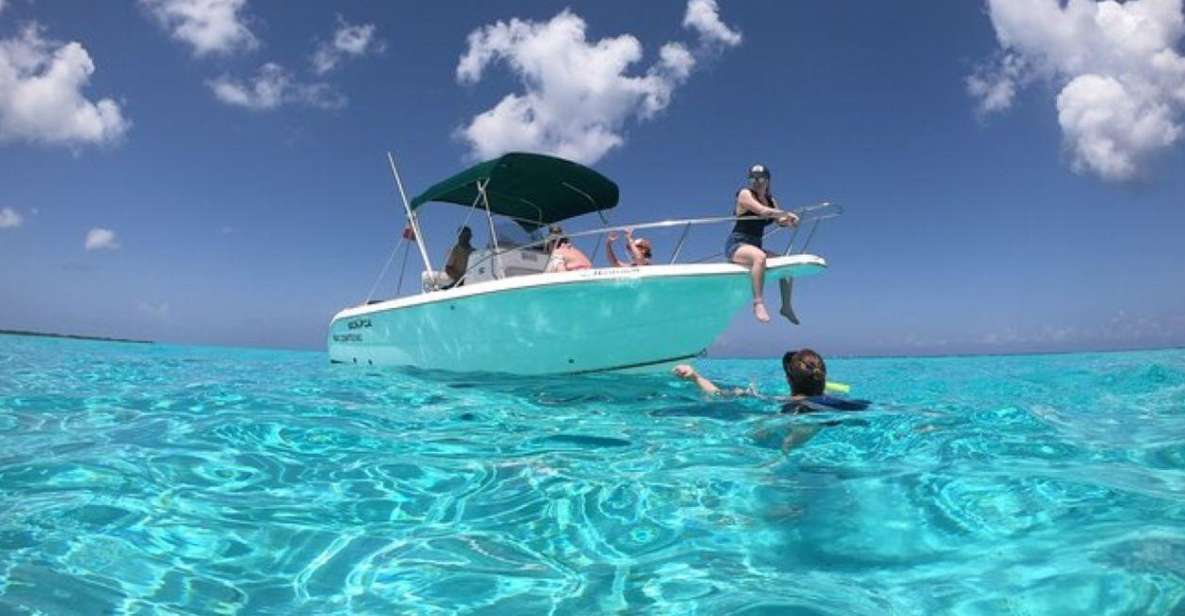 Cozumel: Private Snorkeling and Charter Experience - Experience and Activities