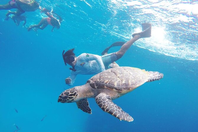 Cozumel Snorkeling Tour: Palancar, Columbia and El Cielo Reefs - Tour Operations