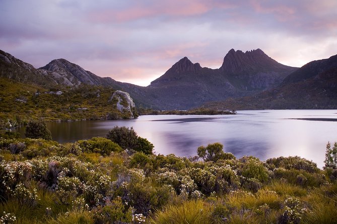 Cradle Mountain Day Tour Private Charter Service - Departure Point