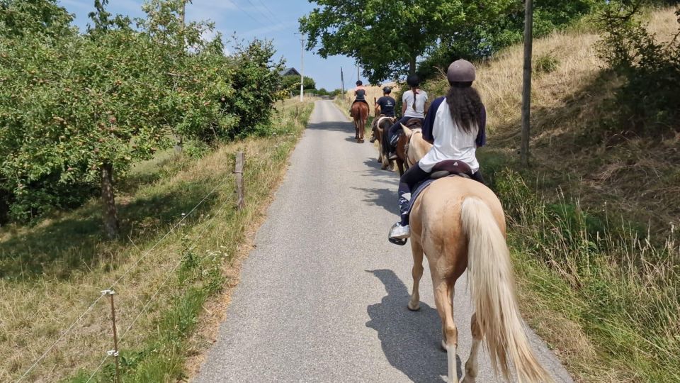 Cruseilles: Horseback Riding in the Countryside - Experience Details