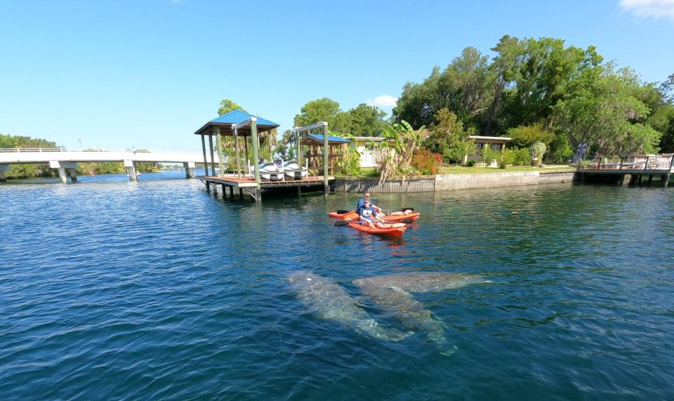 Crystal River: Kayak Rental - Activity Details