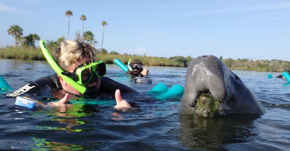 Crystal River: VIP Manatee Swim W/ In-Water Photographer - Experience Highlights