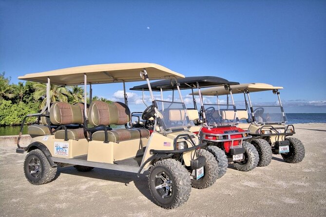 C&S 6 Seater Golf Cart Rental - Inclusions and Additional Charges