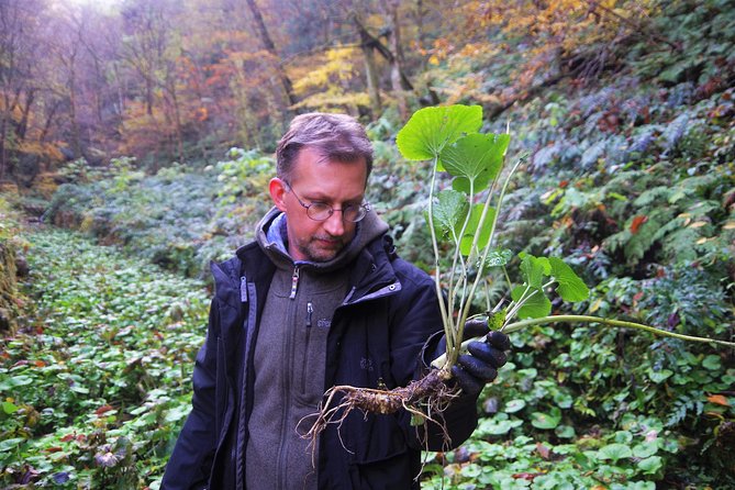 Cultivate Organic WASABI - Water-Grown Wasabi Tradition