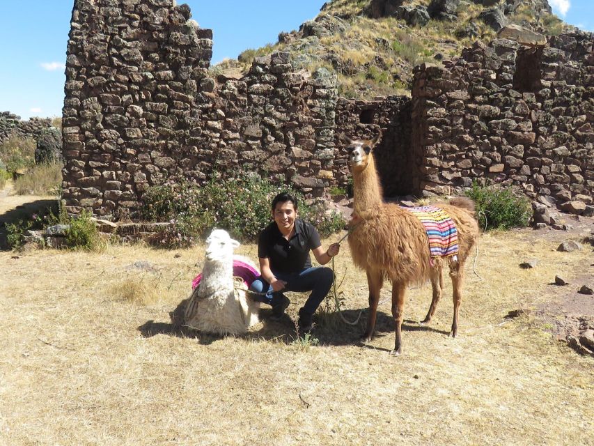 Cusco: Alpaca Therapy in the Cuyo Chico Community Half Day - Logistics