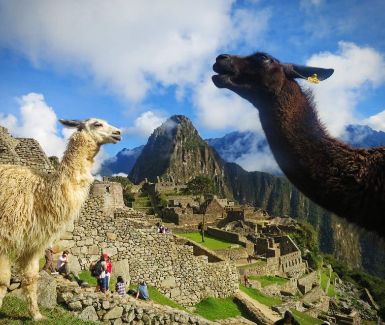 Cusco: Excursion Machu Picchu 1-day by Train Private Tour - Experience Highlights