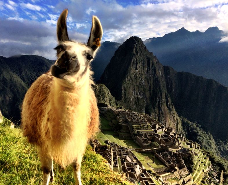 Cusco: Full-Day Machu Picchu Tour - Experience