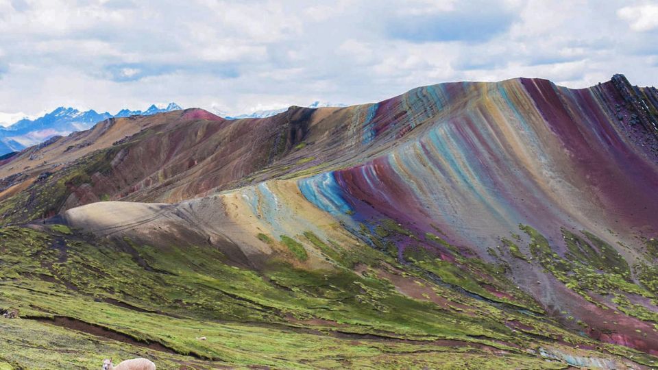 Cusco : Full Day Palcoyo Mountain of Colors - Discover the Vibrant Colors of Palcoyo